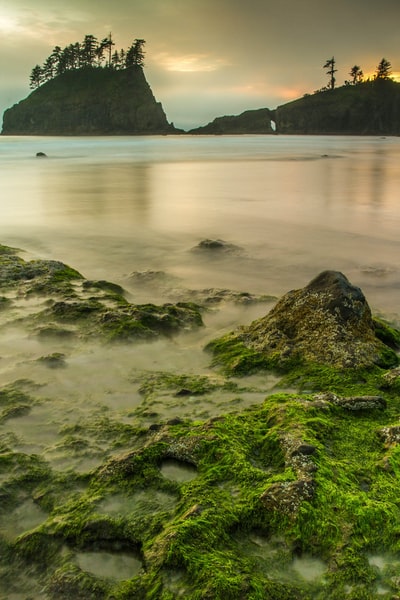 黎明时分，水体附近灰色石头上的绿色苔藓